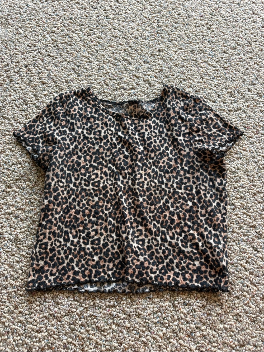 American Eagle Outfitters Leopard Print Crop Top - Brown/Black